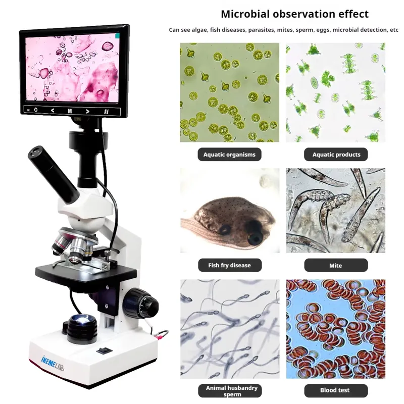 WEIAIは、学生向けのHDスクリーンLEDライト付きデジタ - Medical Lab Microscope のレビューと価格