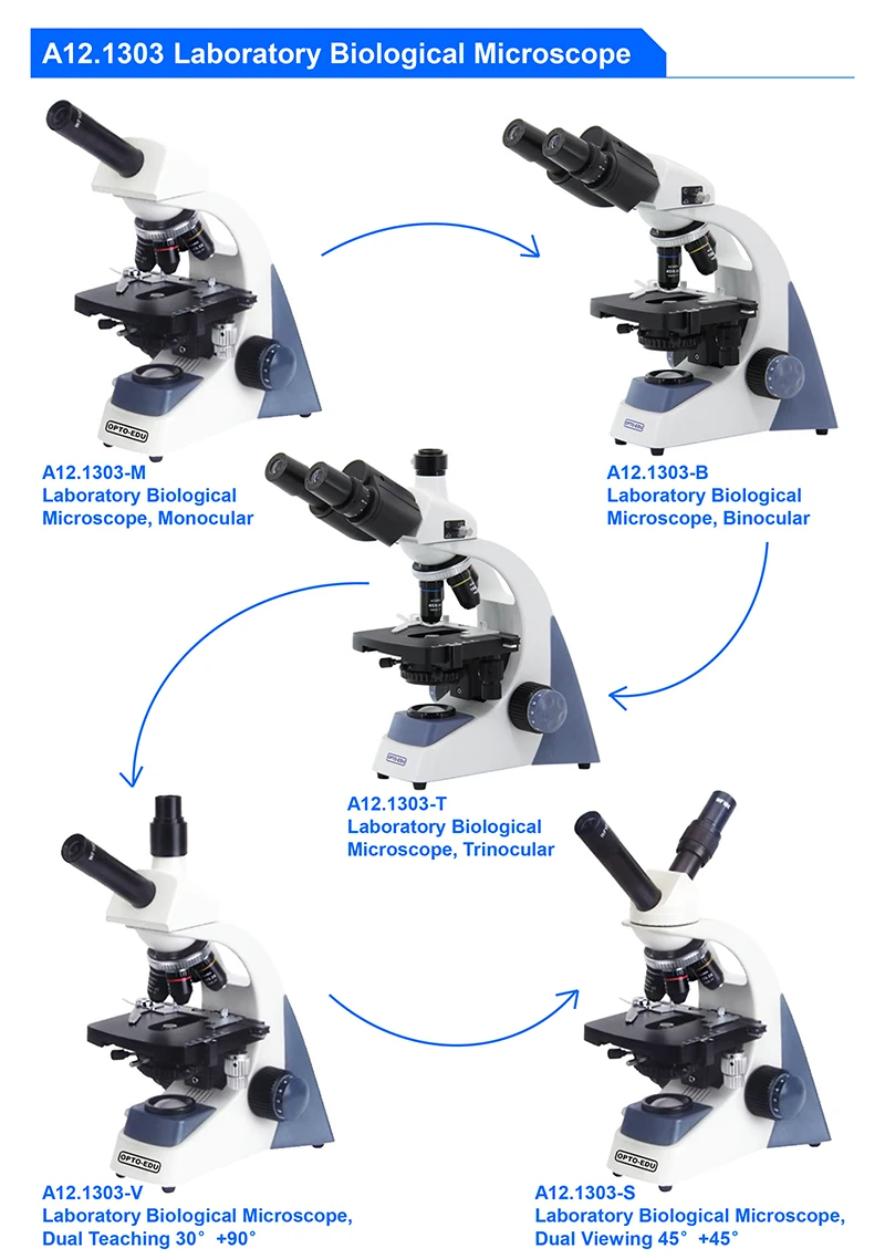 OPTO-EDU A12.1303-B 40x～1000x  - Medical Lab Microscope のレビューと価格