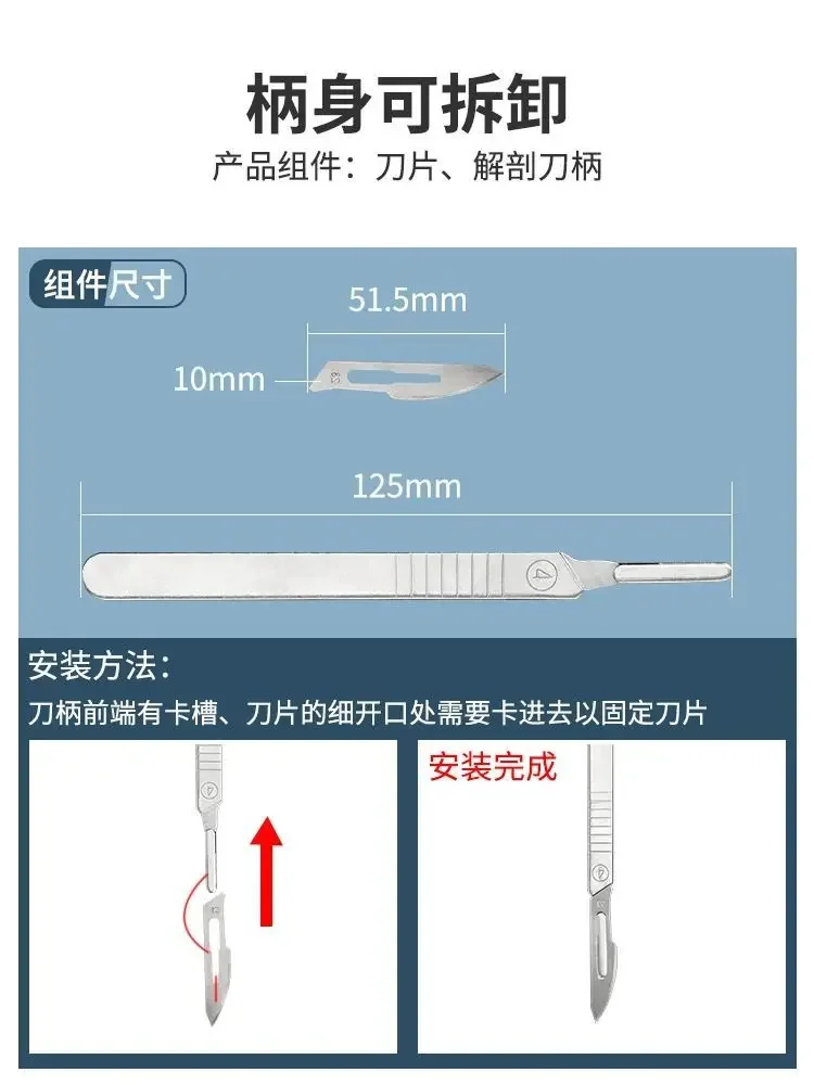 ステンレス鋼の昆虫解剖はさみ、医療生物学実験装置ツール、解剖 - Medical Lab Equipment のレビューと価格