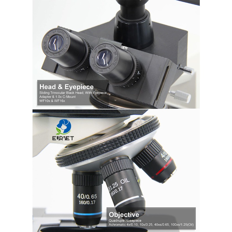 2026年製 医療用デジタル生物顕微鏡 科学者および獣医動物 - Medical Lab Microscope のレビューと価格